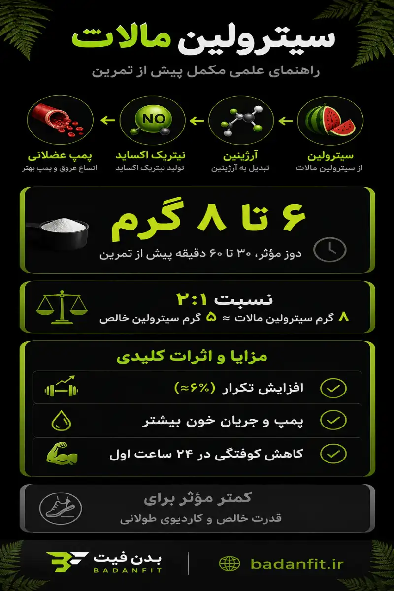 اینفوگرافیک سیترولین مالات: مسیر سیترولین به نیتریک اکساید، دوز ۶ تا ۸ گرم، نسبت ۲:۱ و فواید پمپ، حجم تمرین و کاهش کوفتگی