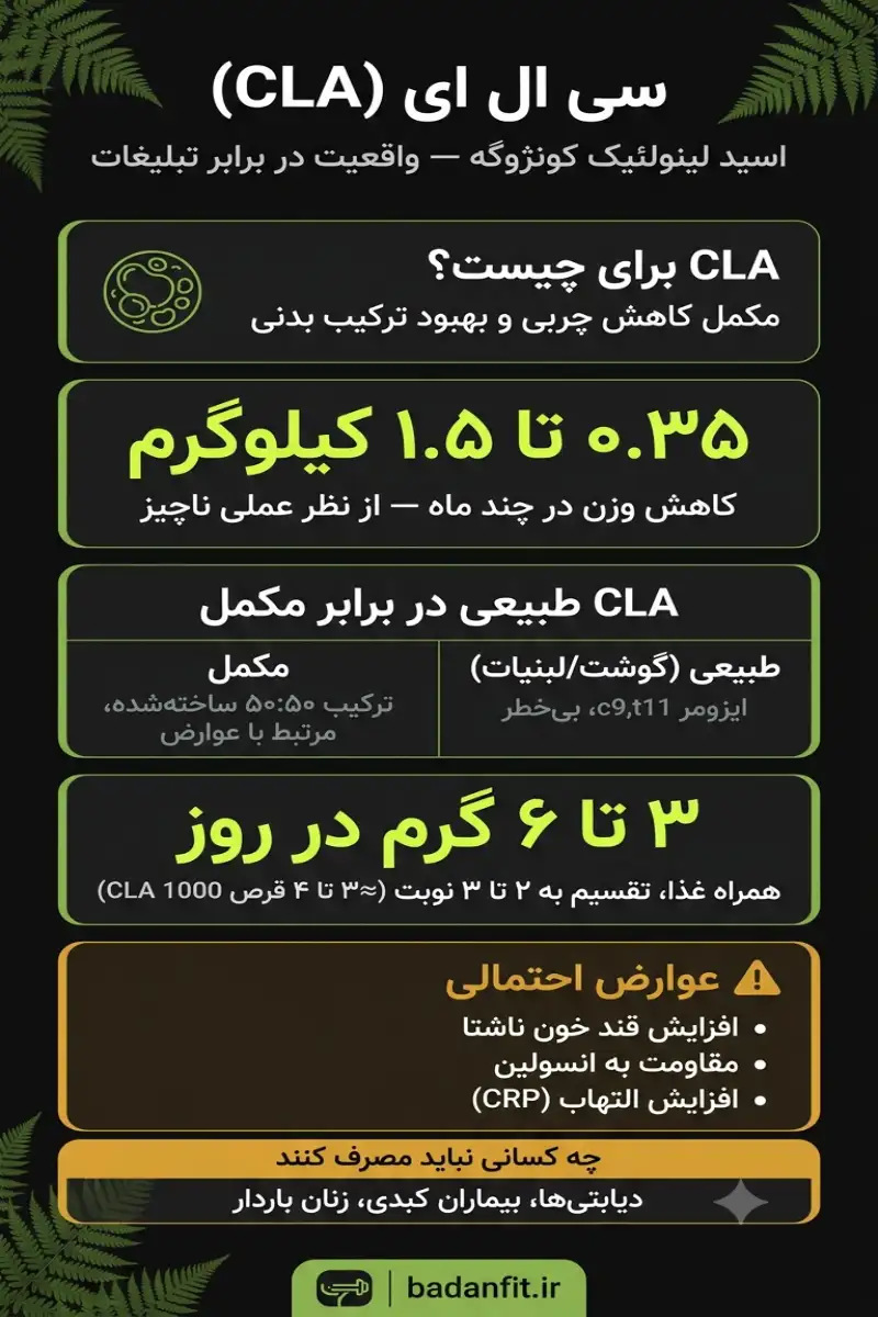 اینفوگرافیک سی ال ای (CLA): اثر واقعی بر لاغری، تفاوت CLA طبیعی و مکمل، دوز قرص CLA 1000 و عوارض متابولیک