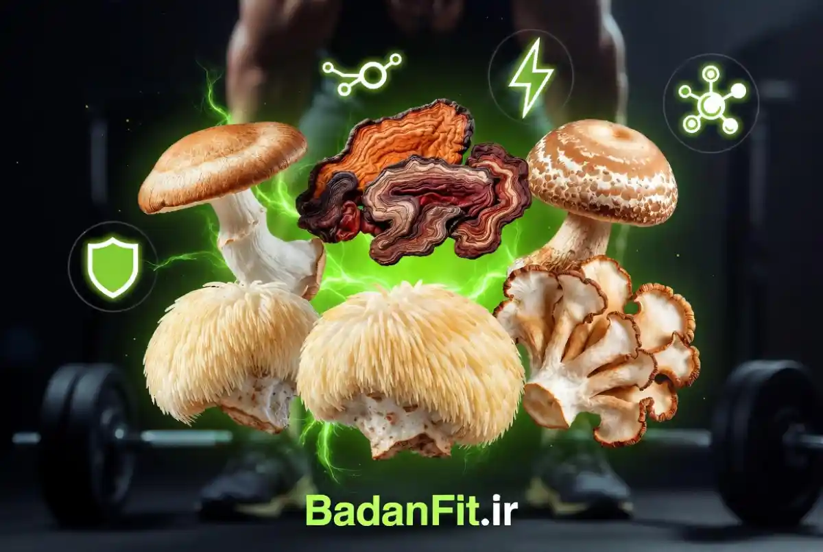 راهنمای جامع PeakO₂: ترکیب ۶ قارچ دارویی برای افزایش عملکرد ورزشی